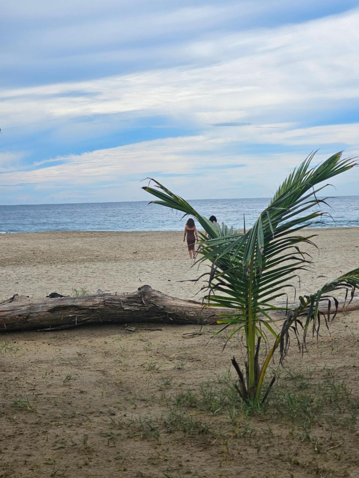 Turtle Beach Villas Zihuatanejo Eksteriør bilde